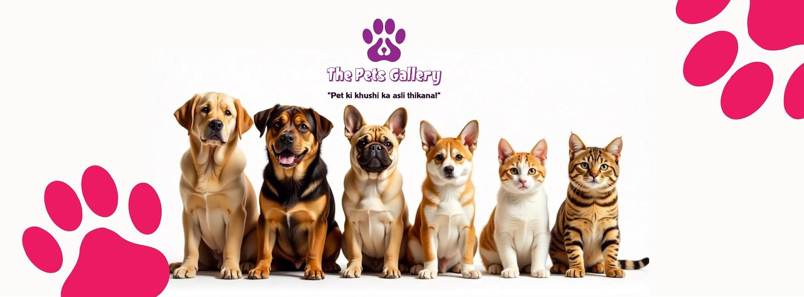 Food & Pet Care Point